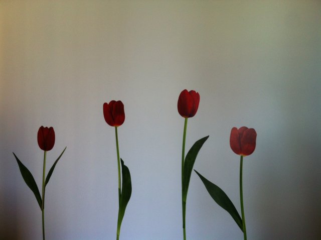 Interno 6