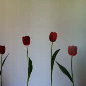 Interno 6